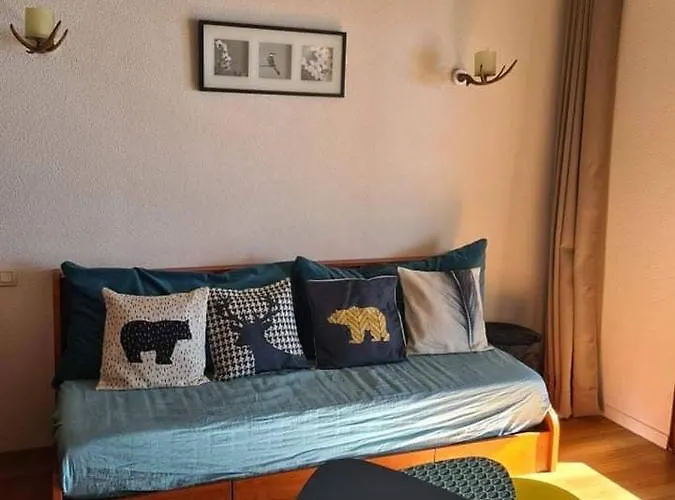 Apartment Comfort Duplex Apartment, Foot Of The Slopes *