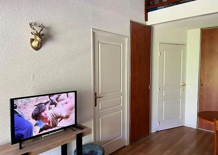 Comfort Duplex Apartment, Foot Of The Slopes Apartment *